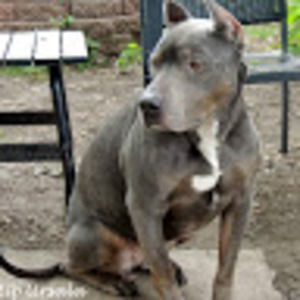 Meet your Posher, Michaela